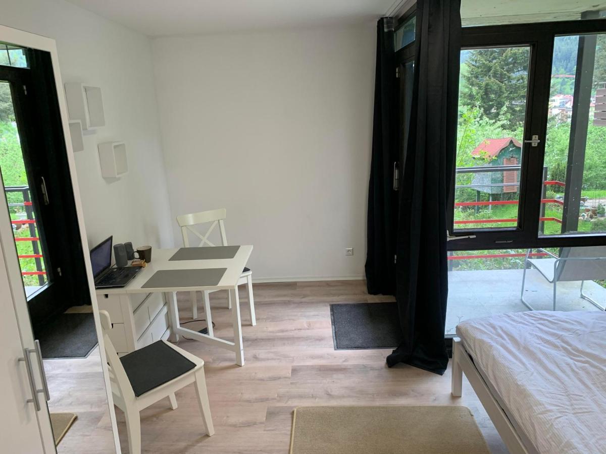 Kleines Einzimmer-Apartment 14 Bad Wildbad Eksteriør bilde