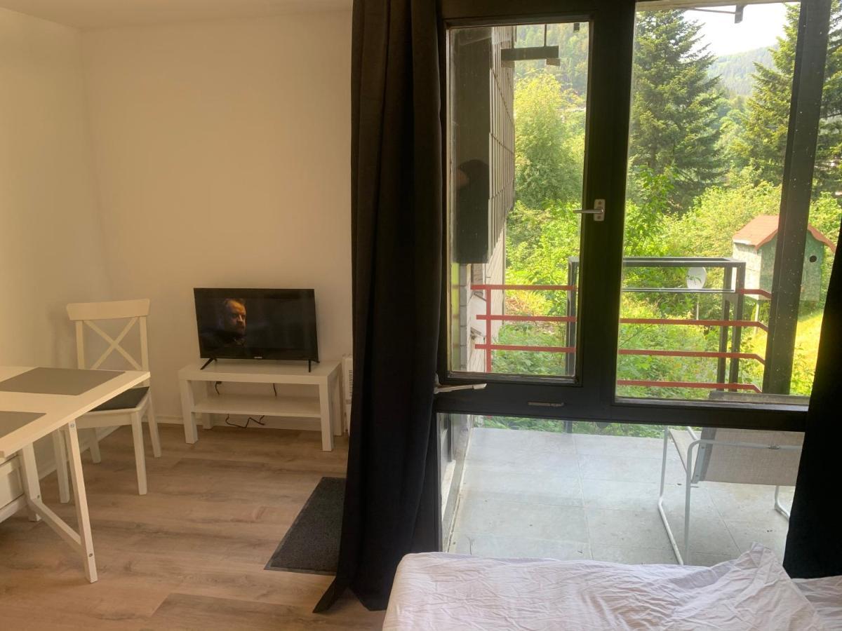 Kleines Einzimmer-Apartment 14 Bad Wildbad Eksteriør bilde